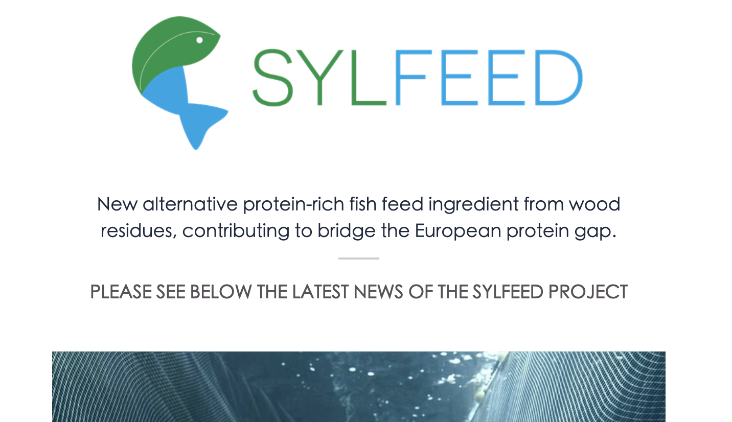The Sylfeed newsletter is out